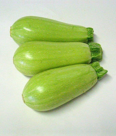 کدو سبز 
